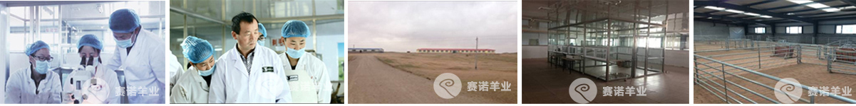 生產基地